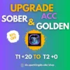 item for upgrade sober and golden accessories